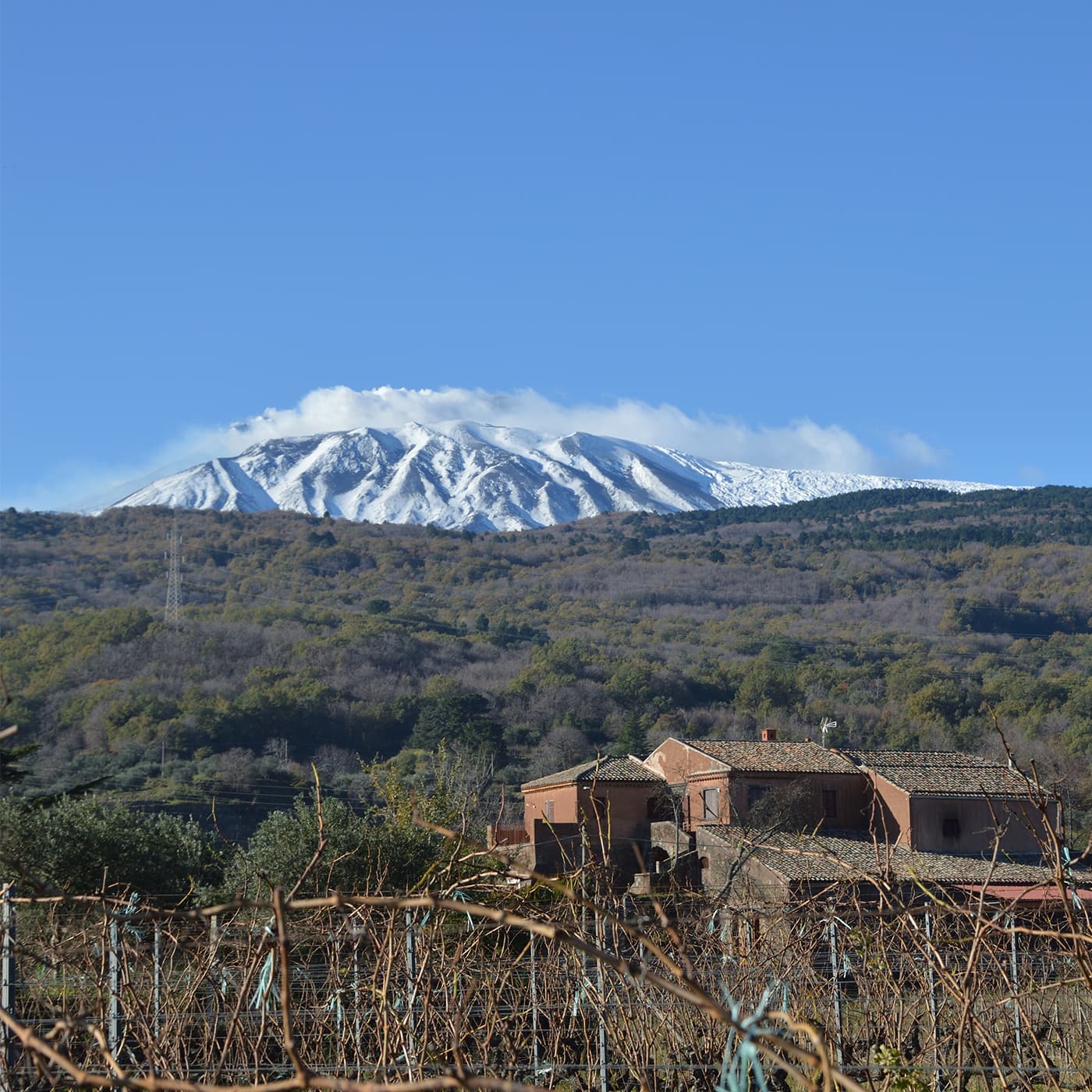 L'Etna innevato visto dal vigneto Scilio