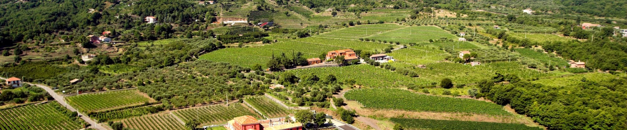 veduta panoramica dei terreni Scilio
