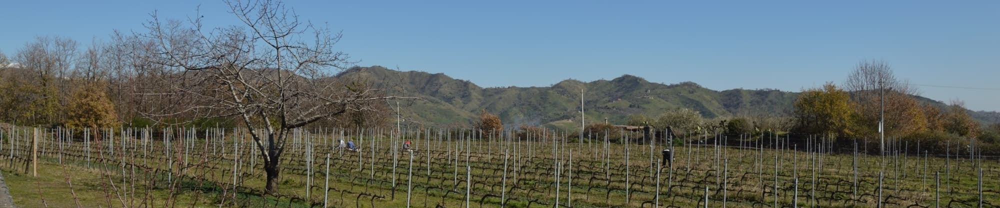 Il Terroir con alcuni lavoratori