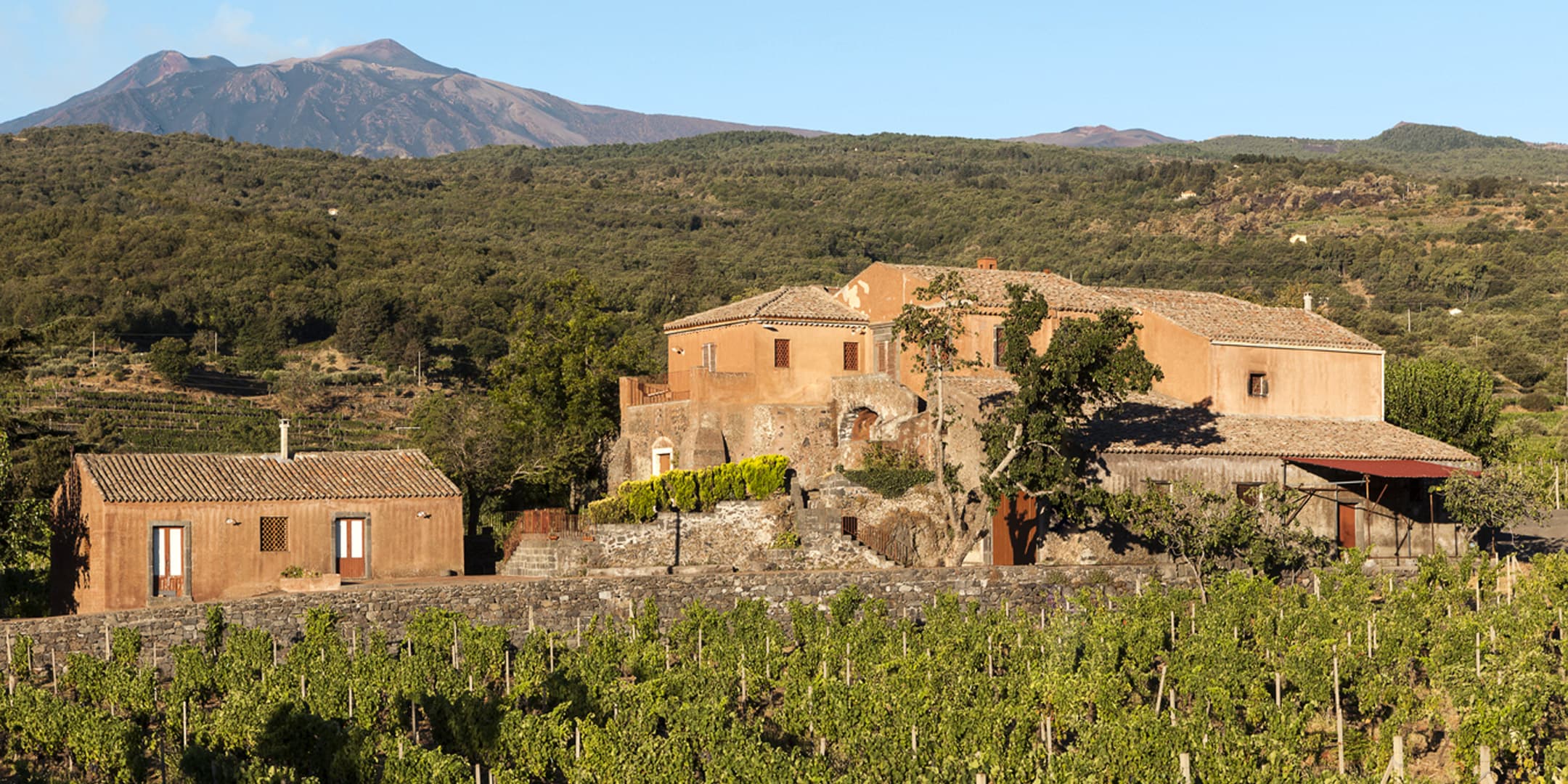 La tenuta Scilio con vigneto di fronte e l'Etna di sfondo