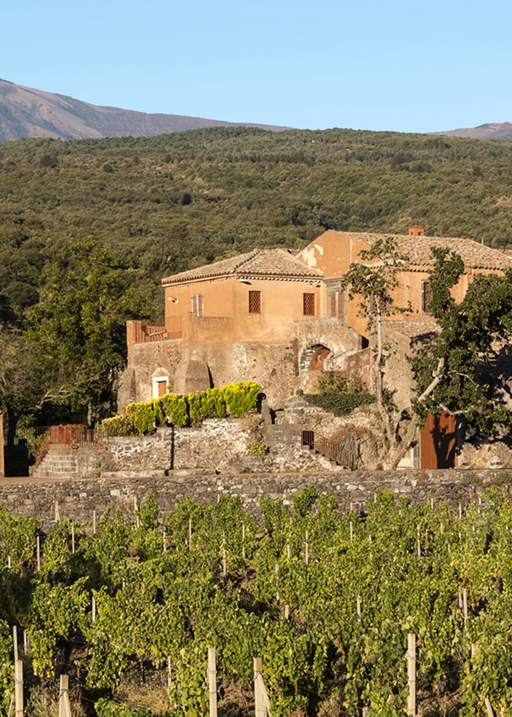 La tenuta Scilio con vigneto di fronte e l'Etna di sfondo
