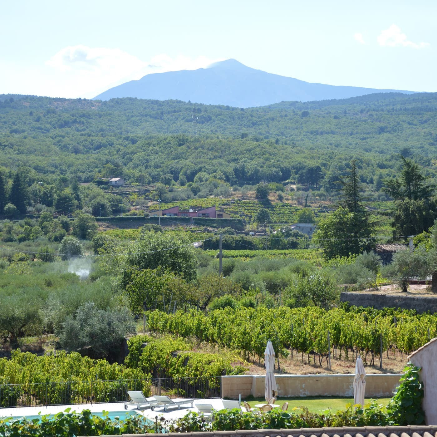 Il paesaggio rigoglioso con sullo sfondo l'Etna